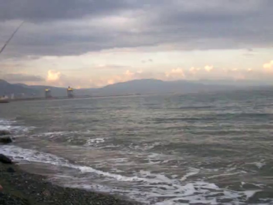Sırtıkara Video