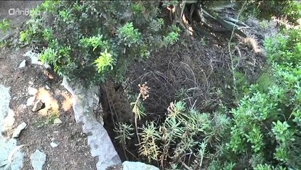 Βαβύλοι η' (Στα σταροχώραφα και το νερόμυλο των Βαβύλων) 21/06/14_001