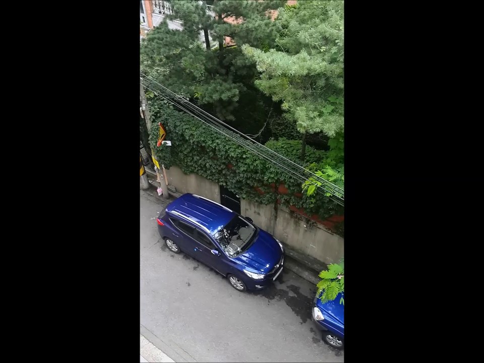 film alerte août 2014