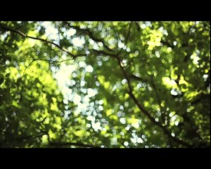 Spot contre l'abandon d'animaux