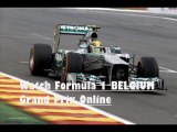 see race BELGIUM GP F1