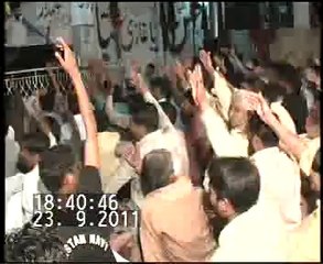 Pakistan, Govt, aur  Shia by Allama Ali Nasir Tilhara