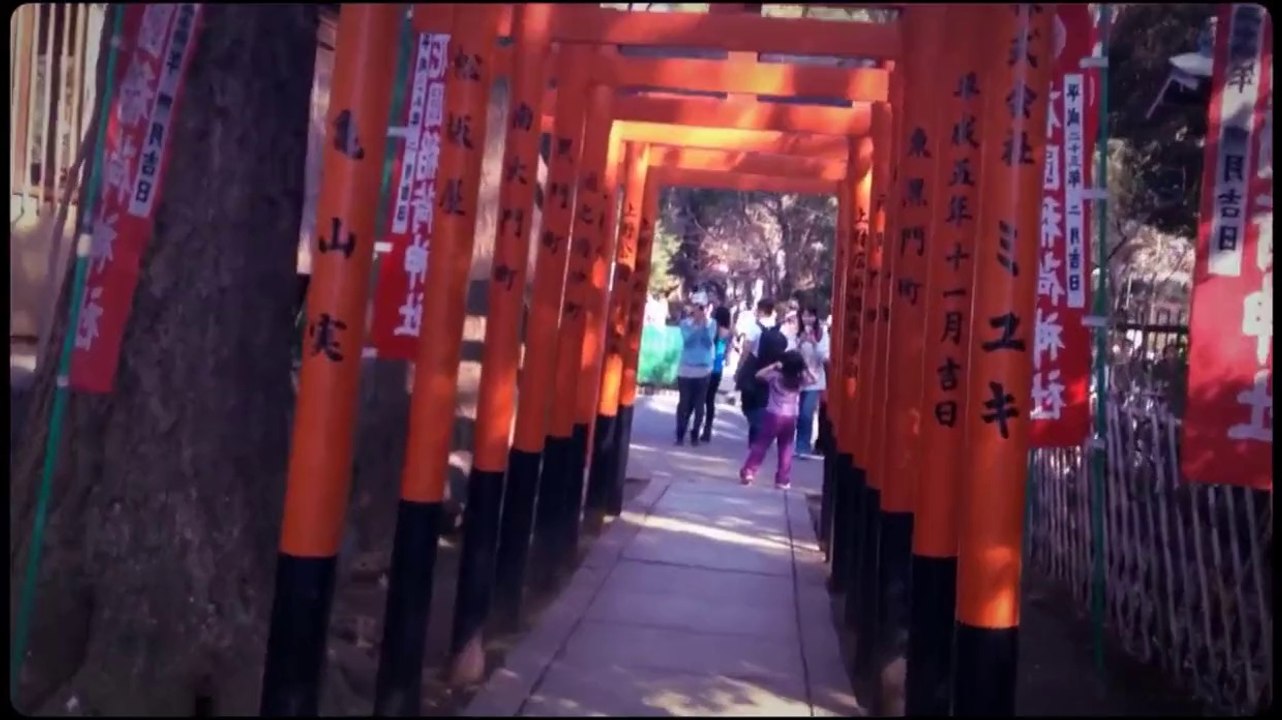 Sakura Flit