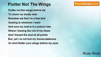 Rose Rose - Flutter Not The Wings