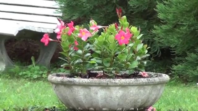 Genlis proche Très belle maison - Agence CARREZ immobilier