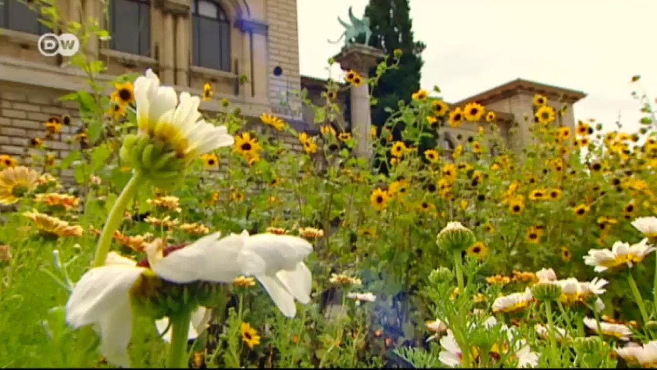 Gartenfestival in lausanne | euromaxx