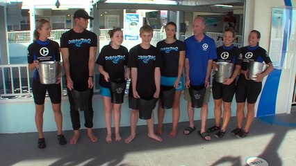 DOLPHIN TALE 2 (2014) VIRAL - ALS ICE BUCKET CHALLENGE