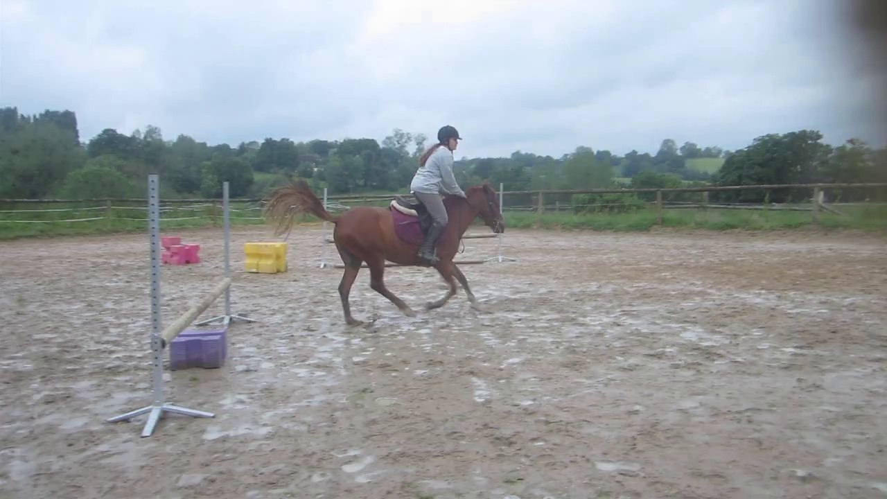 Aristo de la Butte saut 28-05-14