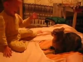 Bebek ve kedi fena kapıştılar