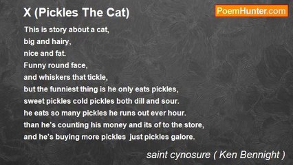 saint cynosure ( Ken Bennight ) - X (Pickles The Cat)