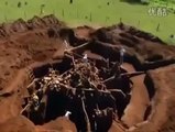 Dünyanın en büyük karınca yuvası inanılmaz