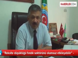 "Rekolte düşüklüğü fındık sektörünü olumsuz etkileyebilir" -