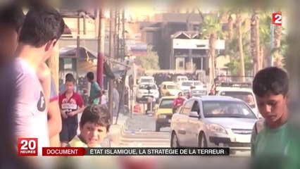 Qui sont les combattants fanatisés de l'Etat islamique ?