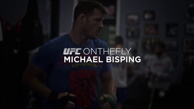 UFC On The Fly: Michael Bisping