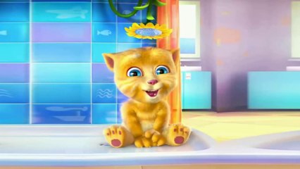 Gato falante cantor PSIRICO   LEPO LEPO