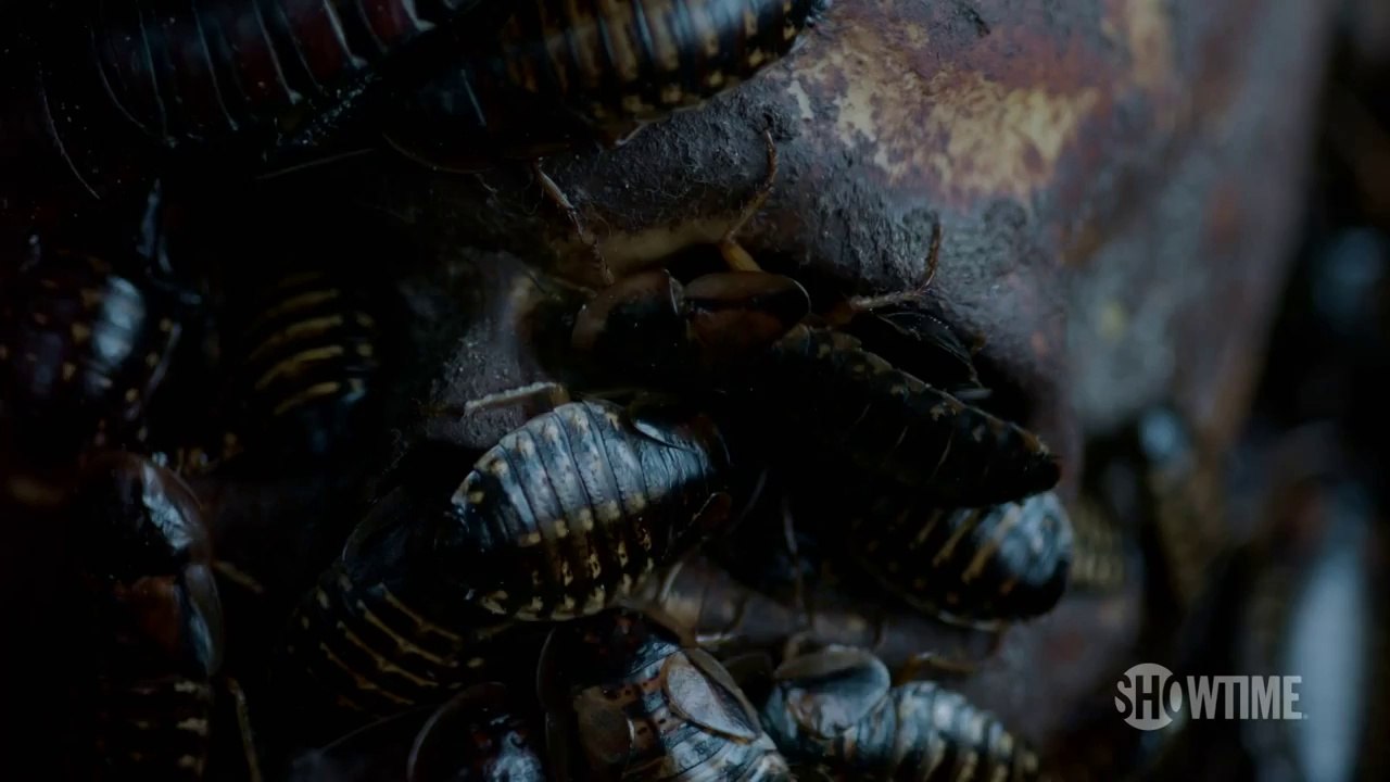 Penny Dreadful Trailer