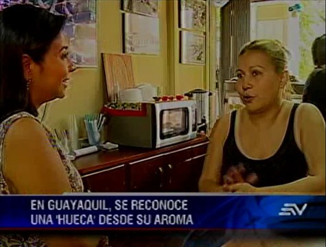 70 'huecas' serán remodeladas en nuevo plan turístico de Guayaquil