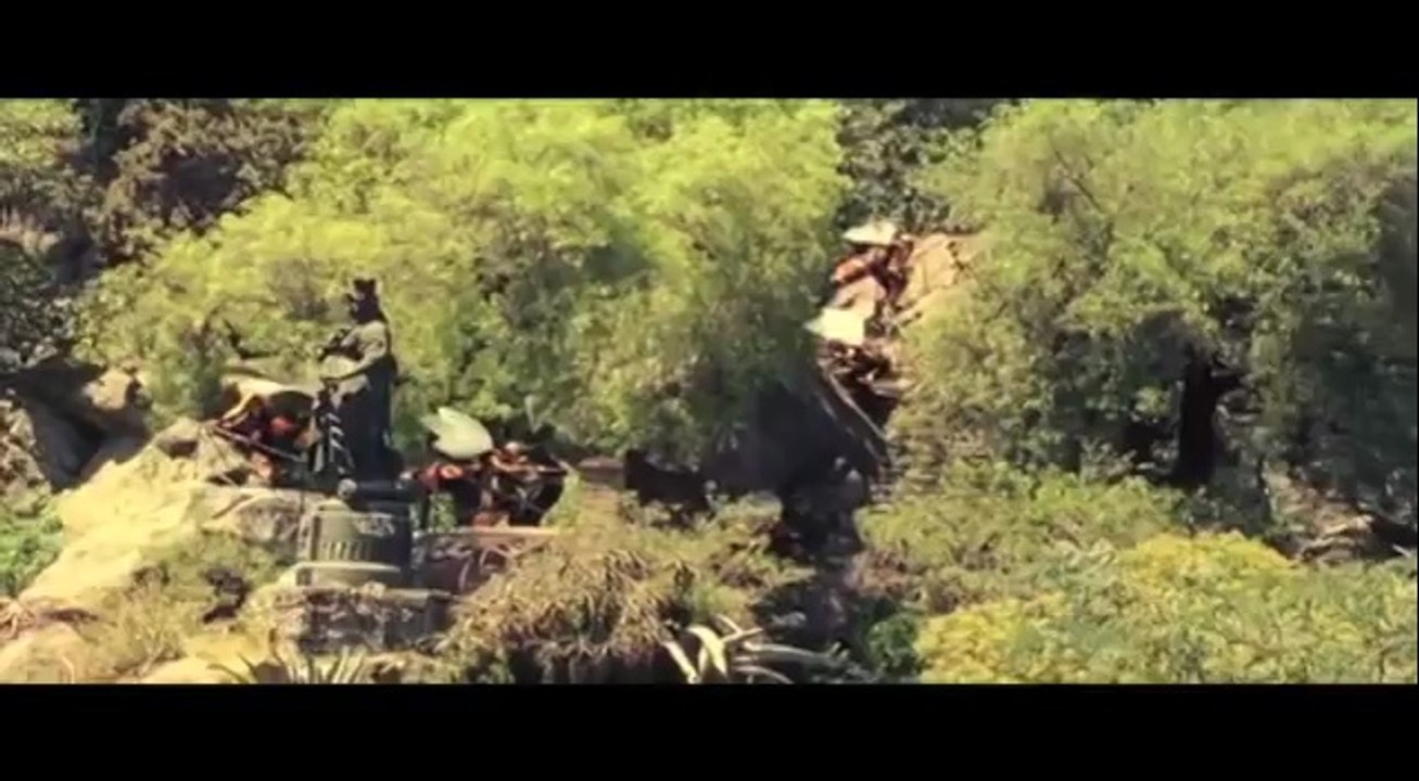 Trailer Gatos viejos