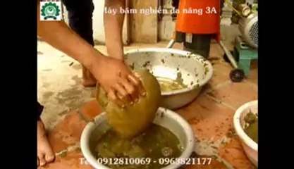 máy nghiền thức ăn chăn nuôi đa năng - Video Dailymotion