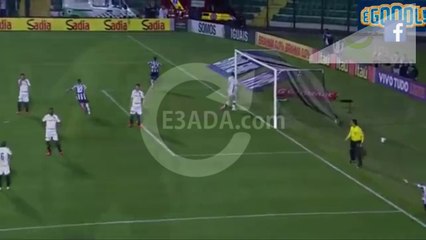 Figueirense 1-0 Botafogo RJ بتاريخ 20/08/2014 - 23:30