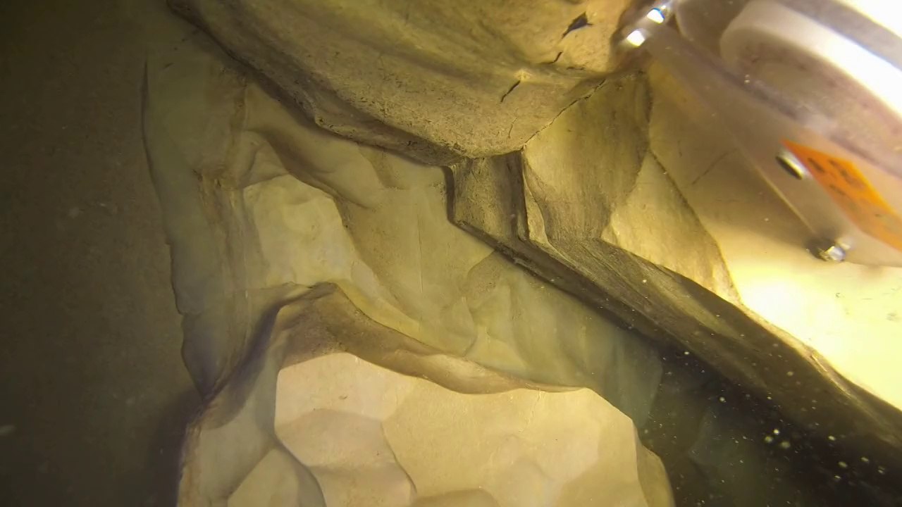 St Sauveur (lot) : Film de l'exploration du 16 aout 2014