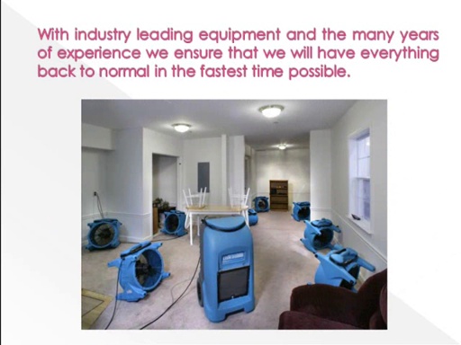 Commercial Carpet Cleaning