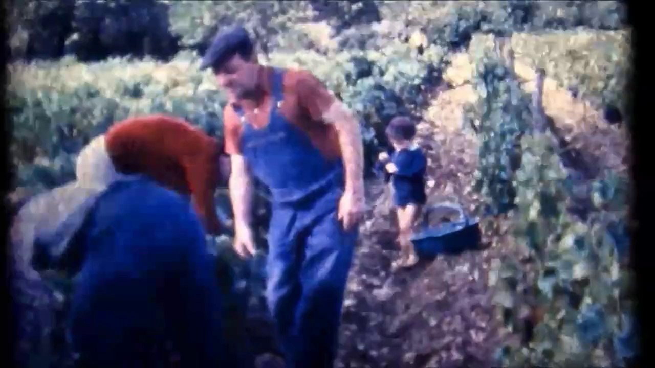 film15d film famille