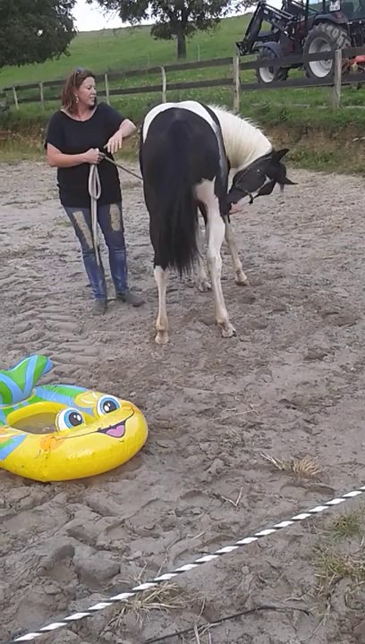 Dolly et le bateau 4