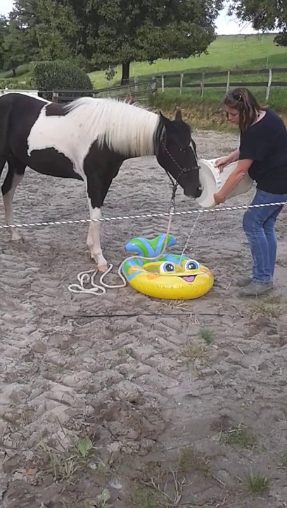 Dolly et le bateau 3