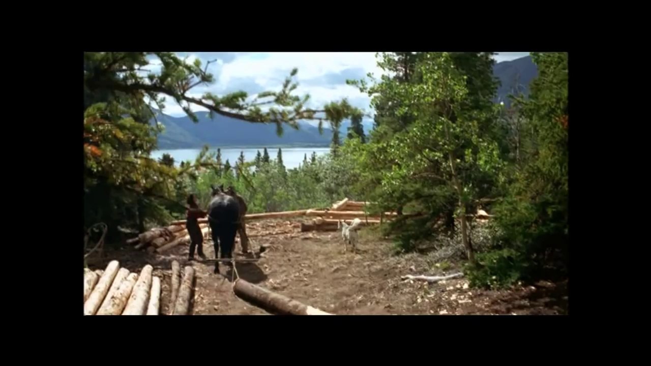 The Last Trapper Trailer