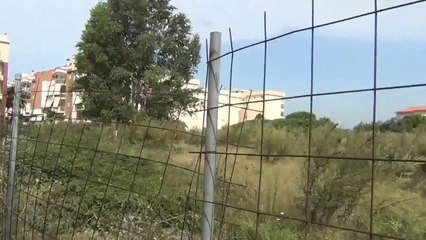 Aversa (CE) - Standard di via Michelangelo (20.08.14)