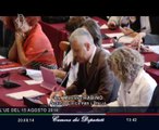 Roma - Audizione Mogherini e Pinotti su situazione Iraq (20.08.14)