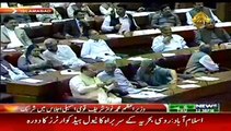 Mohsin Shah Nawaz Ranjha(PML N) Speech In National Assembly