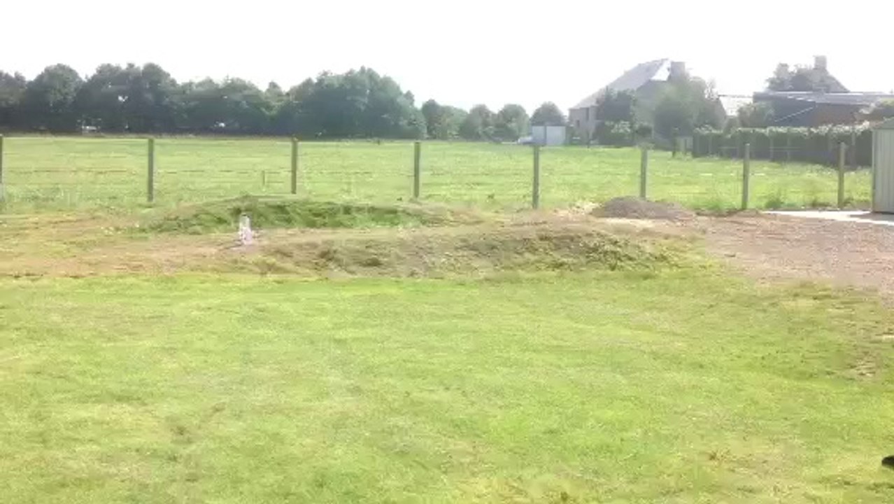 quad 110 speedbird maxfire