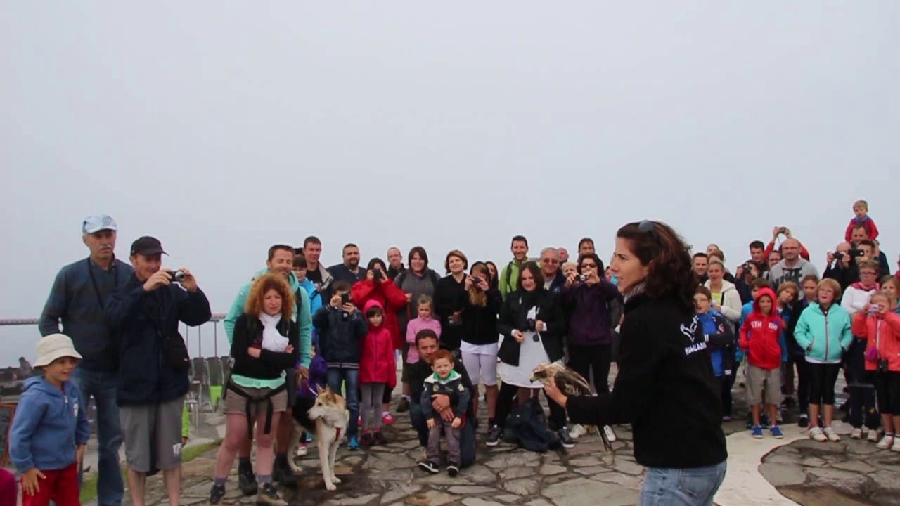 Lâcher aigle botté