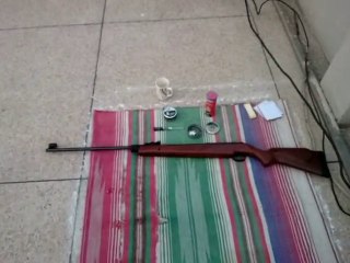 Diana (RWS) 350 Magnum 5.5mm using H&N FTT Pellets - Open Sights Shooting at 14 Yards