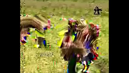 Palle Palle Choodu - Telangana Folk Song