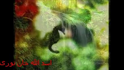 Asad Ullah Khan Noori S/O Alhaaj Nasrullah Khan Noori