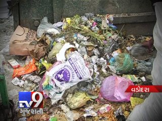 Vadodara, now on the brink of epidemic - Tv9 Gujarati