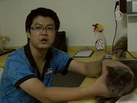 Кот застрял в трубе на 2 месяца и выжил