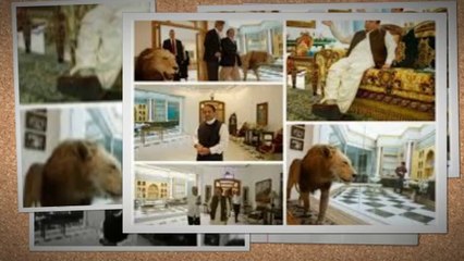 The True Baaghi: New Pakistan Inshallah 🇵🇰