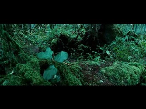 해운대오피추천 포항오피《밤의 전쟁 닷컴》신논현오피, 서대문오피신림오피걸은0683