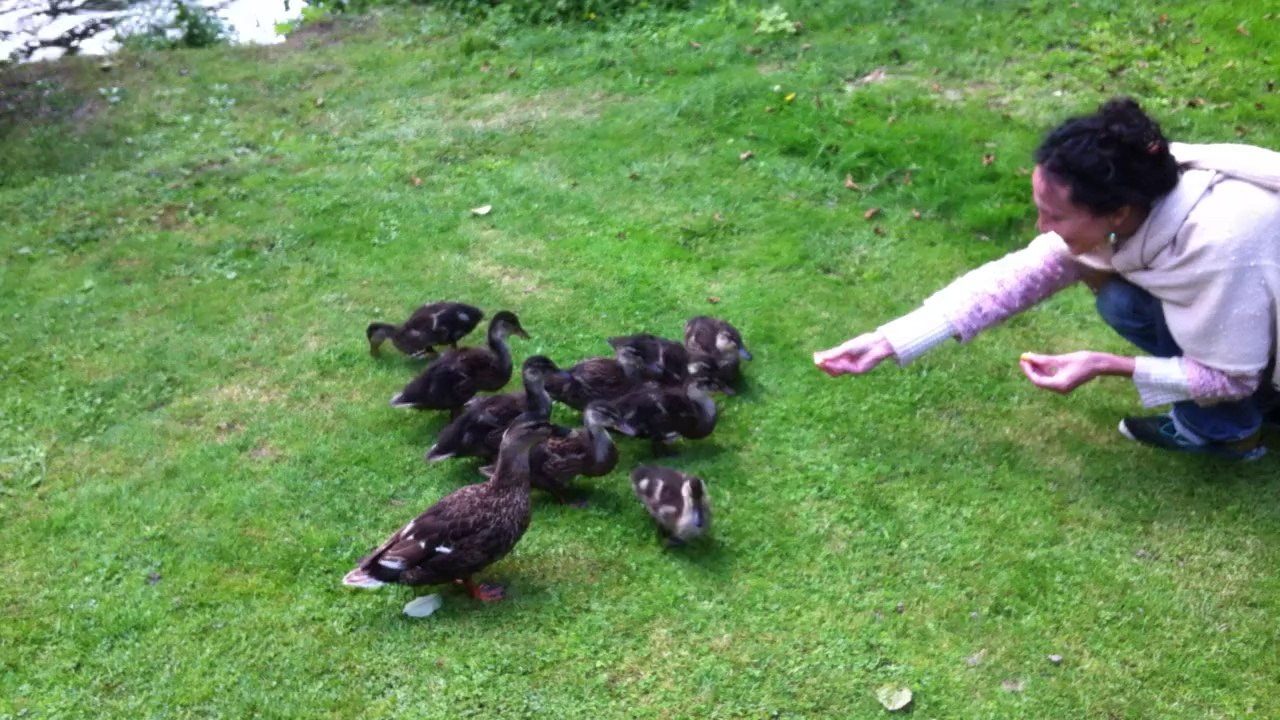 Karine nourrit la famille
