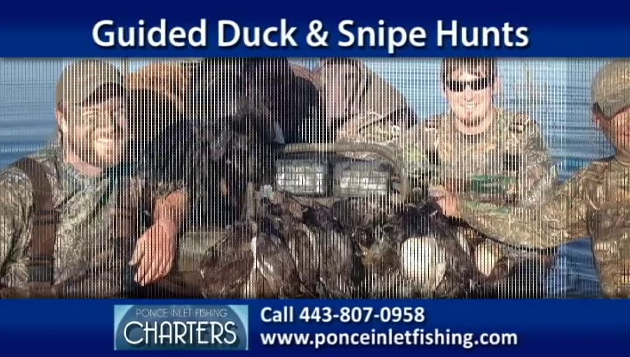 New Smyrna Beach Fishing Charters