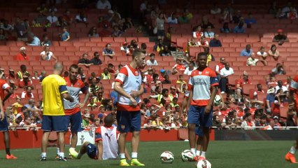 No Fabregas regrets - Wenger