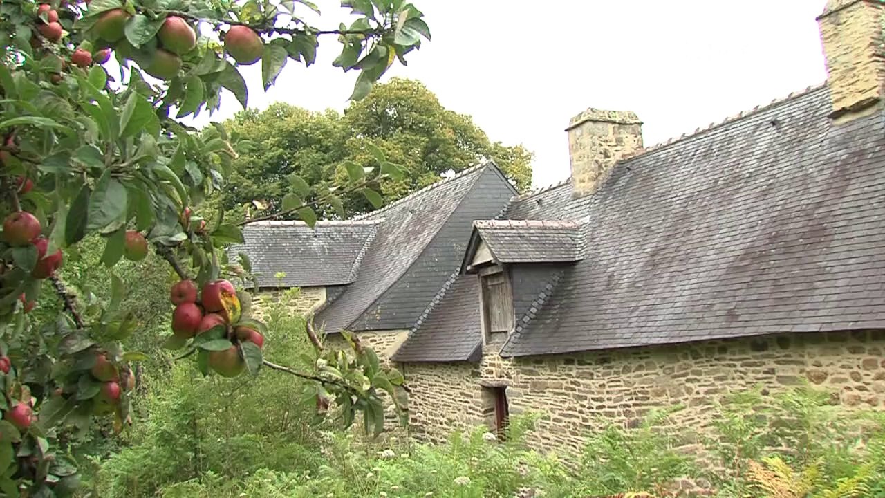 Clohars-Carnoët (29). Abbatiale Saint-Maurice : curieuses chauves-souris