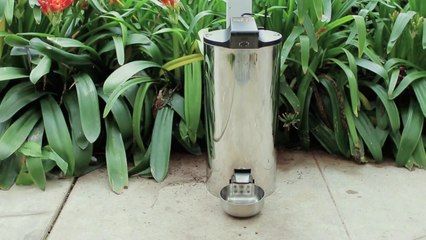 PetPal- The Easy & Automatic Pet Food Dispenser