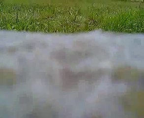 Drone Vs Cat (1ère tentative)