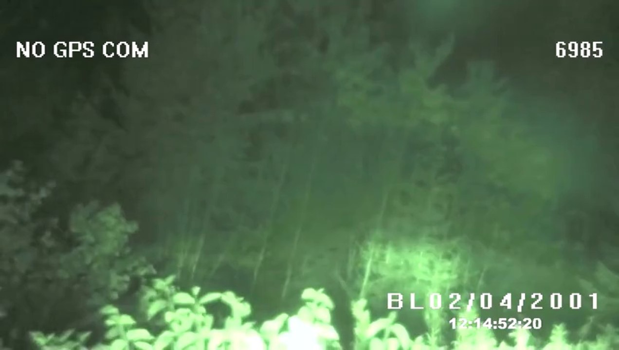 Police Fail To Catch Ghost