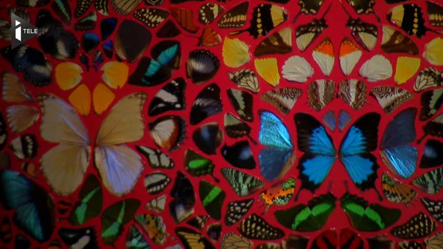 Dans les jupes de Dries Van Noten